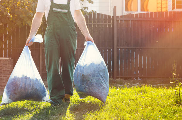 Best Electronics Removal Services  in Pulaski, VA